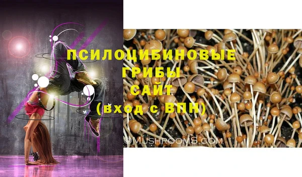 винт Алексин