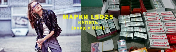 индика Алексеевка