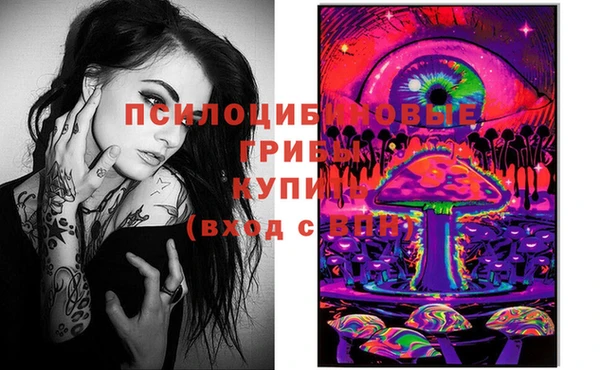 индика Алексеевка